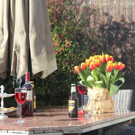 Nyaraló In With Private Terrace And Garden Egmond aan den Hoef